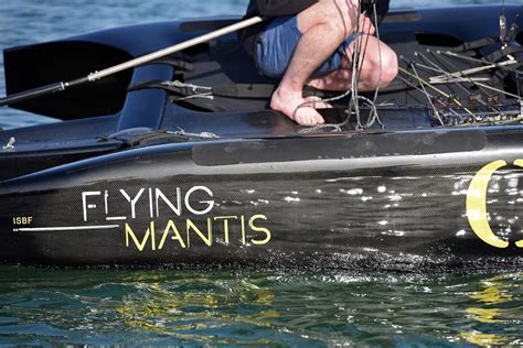 Flying Mantis The Boat