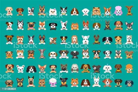 Different Type Of Vector Cartoon Dog Faces Stock Illustration