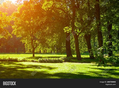 Summer Landscape Image And Photo Free Trial Bigstock