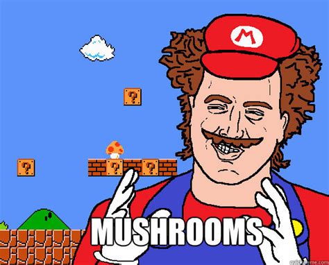 Top 13 Favourite Super Mario Series Memes