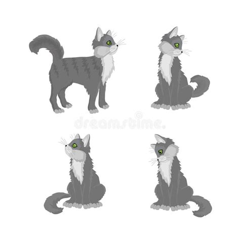 Gray Cat Stock Vector Illustration Of Beautiful Fluffy 87587055