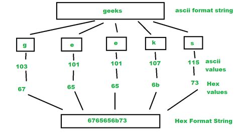 Convert A String To Hexadecimal ASCII Values GeeksforGeeks