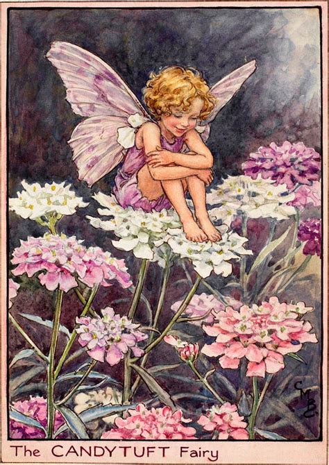 The Candytuft Fairy Flower Fairies
