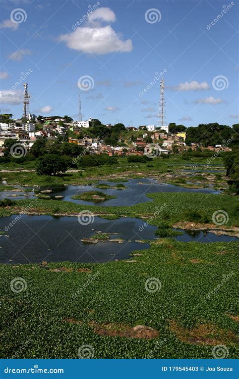 Water Contaminated By Sewage Editorial Stock Photo Image Of