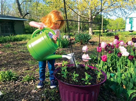 Container Gardening For Kids Capital City Parent Illinois Times