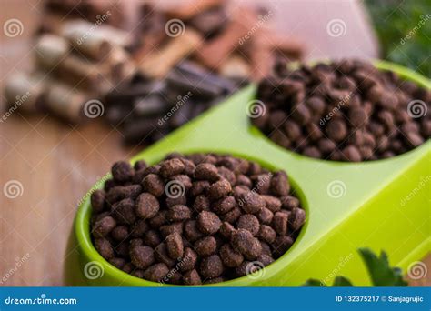 Dog Food Tasty On Wooden Background Stock Image Image Of Group