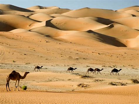 Desierto Qué Es Tipos Y Características De Los Desiertos Ecología Hoy
