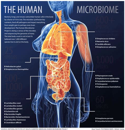 Glyphosate And The Gut Microbiome Another Bad Argument Annihilated