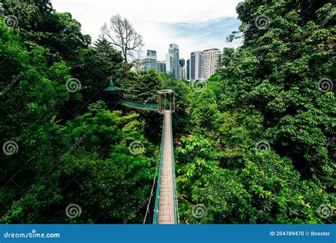 Kuala Lumpur City View From Bukit Nanas Forest Reserve And Now Called