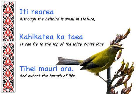 Karakia Maori Words Maori Songs Te Reo Maori Resources Teaching Hot
