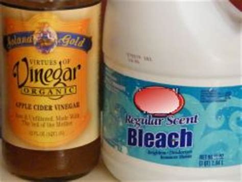 Bleach is known to kill many types of bacteria, viruses, and fungi. MervinHanes's blog: June 2012