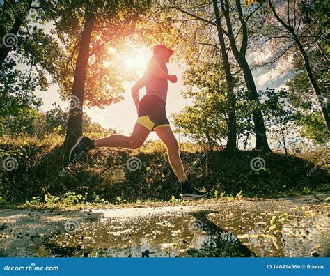 Man Jogger Run In Park Sunny Day Man Is Training Stock Photo Image