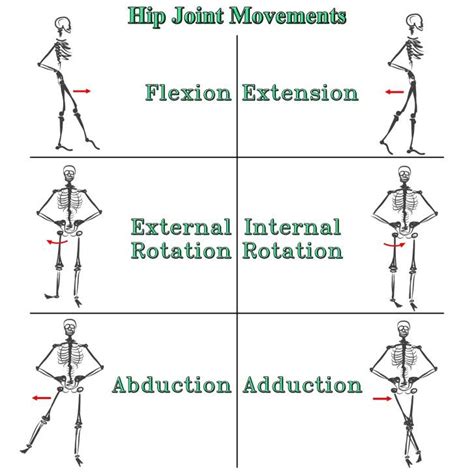 Extension Movement