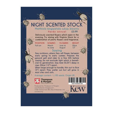 Stock Night Scented Kew Pollination Collection Mr Middleton