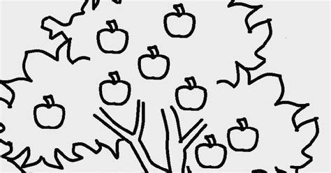 gambar sketsa apel  gambar sketsa apel merah