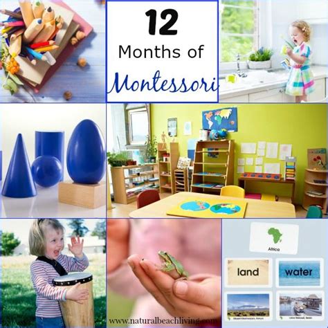 12 Months Of Montessori Learning Practical Life Free Printable Chore