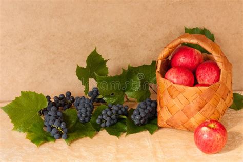 Fruit Apples And Grapes Stock Photo Image Of Grapes 84478282