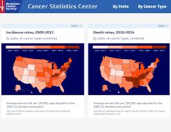 Explore rates of cancer according to country, including separate statistics for men and women, and discover which country has the highest cancer rates. Cancer Facts & Figures 2017