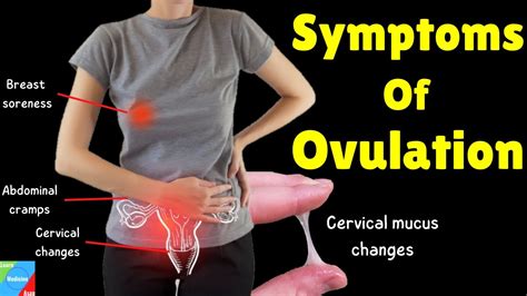 Ovulation Symptoms Signs Of Ovulation And How To Know When You Are Ovulating Youtube