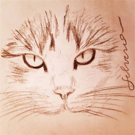 Pin De Sil Silva En Dibujo Y Pintura Gatos Dibujos De Gatos Dibujo