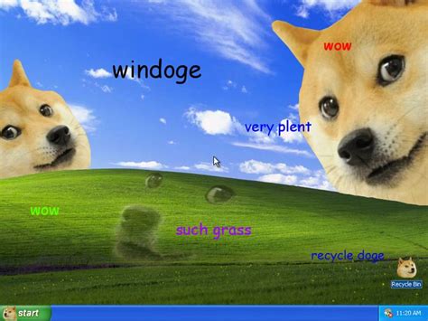 Doge Wallpapers For Desktop Wallpapersafari