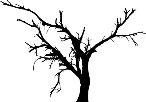 Silhouette Tree Trunk Png Tree Drawing Silhouette Tree Trunk S Leaf