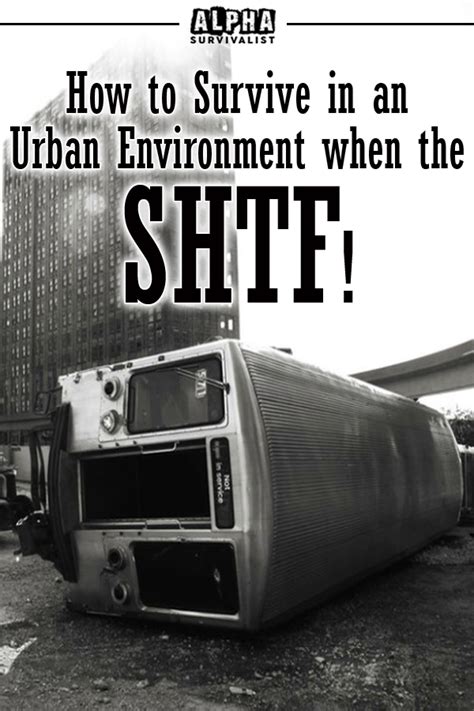 How To Survive In An Urban Environment When The Shtf Alpha Survivalist