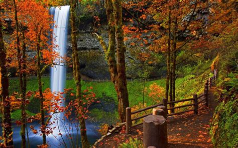 Waterfall In Autumn Park Hd Wallpaper Background Image 1920x1200