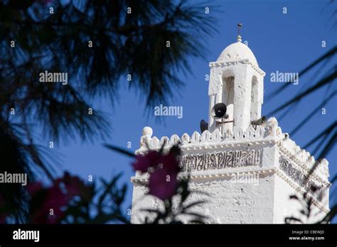 Mosque Of The Strangers Houmt Souk Djerba Tunis North Africa Stock Photo Alamy