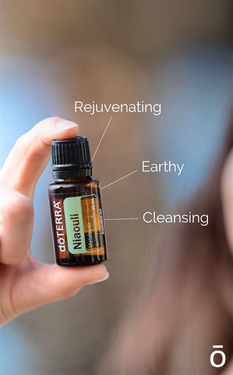 Elements of Niaouli Essential Oil in 2020 | Niaouli essential oil, Buy essential oils, Essential ...