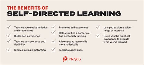 Self Directed Learning A Primer For Ambitious Young Adults Praxis