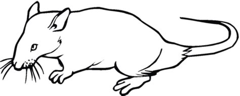 Inuit igloo countries coloring pages. Rat 14 coloring page | SuperColoring.com