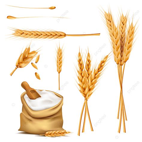 Flour Sack Vector Design Images Wheat Ears Grains And Flour In Sack