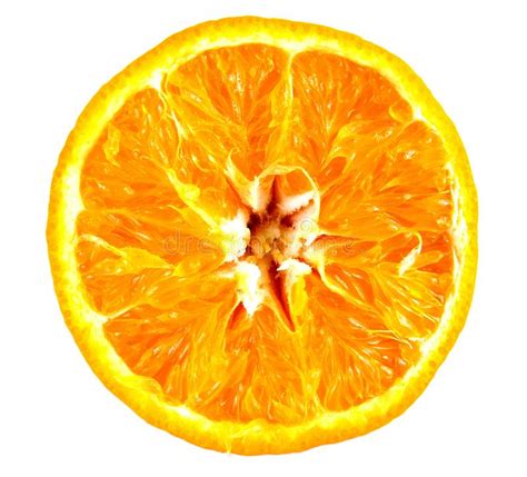 Orange Free Stock Photos And Pictures Orange Royalty Free And Public