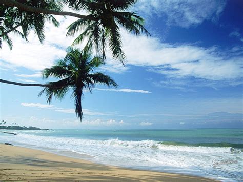 Most Beautiful Beaches In The World Beach Bora Borachoice Your