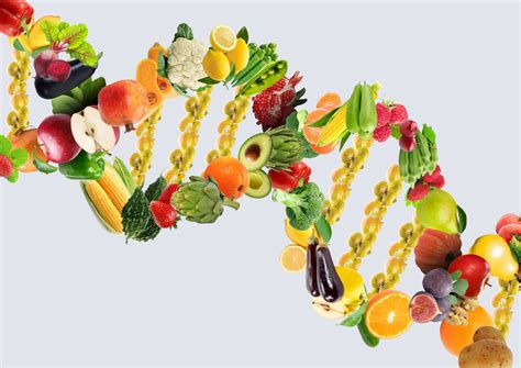 Your Genes And Food The Science Of Personalized Nutrition