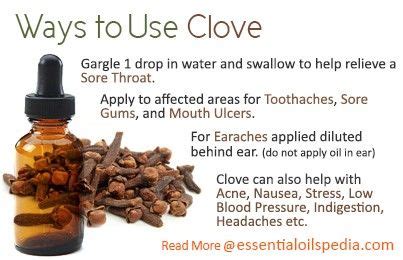 Clove oil uses range from dulling pain and improving blood circulation to reducing inflammation and acne. Clove | Essential oils herbs, Clove essential oil ...