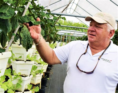 cayman farmers anxious about the future cayman compass