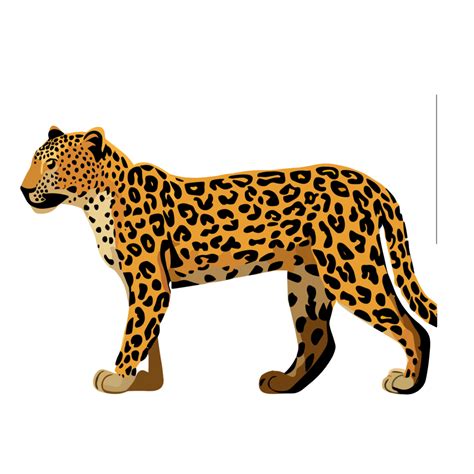 Leopard Clipart Transparent Background 24043951 Png