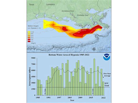 Gulf Dead Zone Predicted To Be Smaller But Still Twice The Size Of