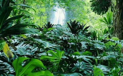 Las áreas protegidas, en este marco, son sectores especiales que se establecen con el objetivo de cuidar su biodiversidad y sus condiciones naturales. En Veracruz, 26 áreas naturales protegidas
