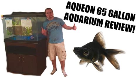 Aqueon 65 Gallon Aquarium Review Youtube