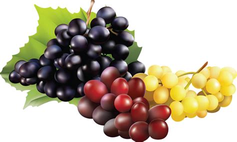900 X 540 4 Raisin Png Clipart Large Size Png Image Pikpng