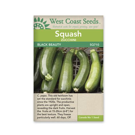 Maybe you would like to learn more about one of these? Black Beauty Zucchini Squash Seeds - Shelmerdine Garden Center