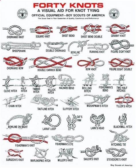 Visual Guide To Knot Tying Knots Guide Knots Survival