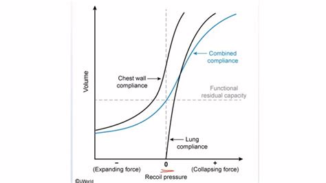 Usmle Step 1 Questions Lung Compliance Curves Youtube