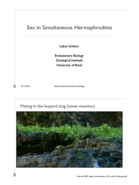 Sex Hermaphrodites Animal Sexuality Sexual Reproduction