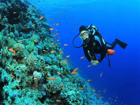 The Best Scuba Diving Spots In The World Times Of India Travel