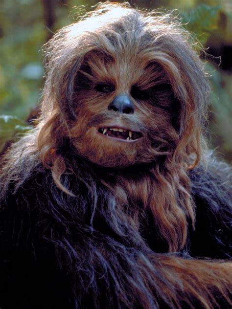 Chewbacca Wookieepedia Fandom Powered By Wikia