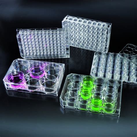 Cell Culture Multi Well Plates